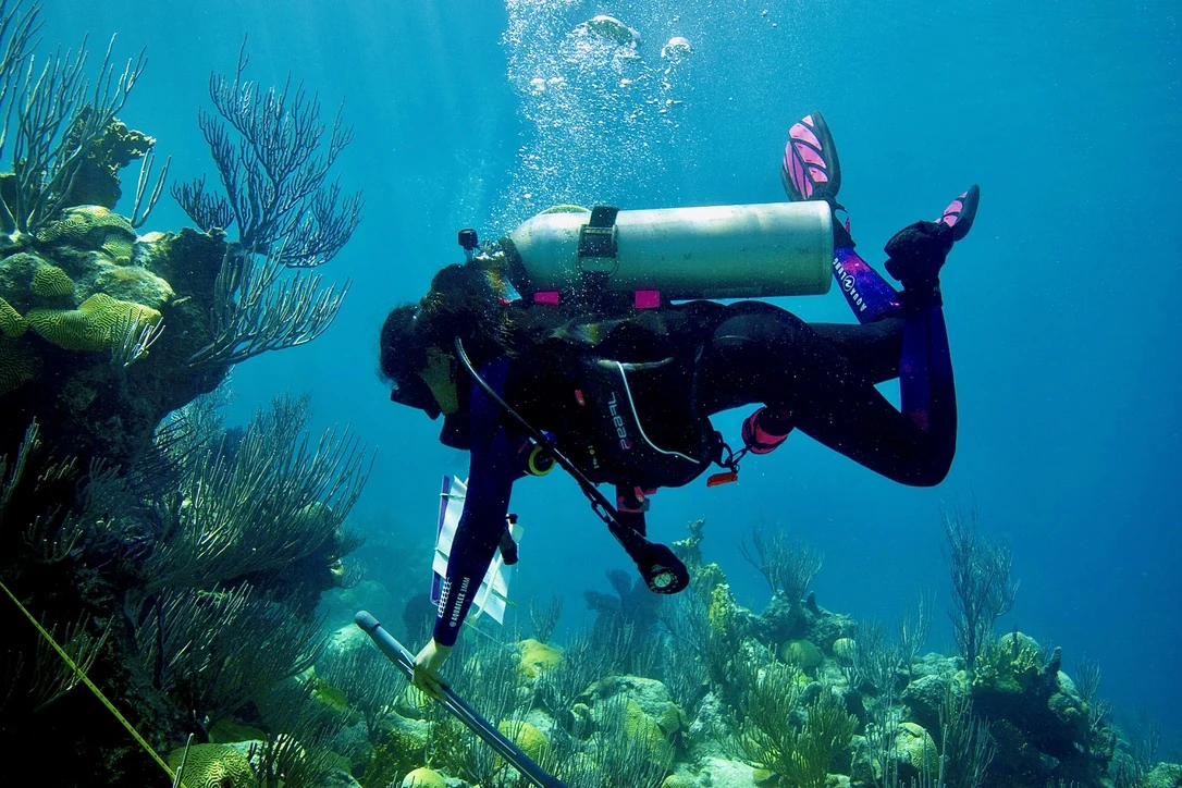 I am scuba diving over a coral reef