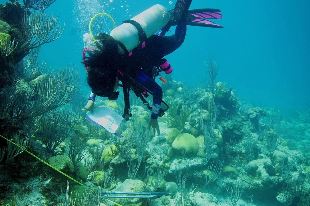 I am scuba diving while examining a coral reef